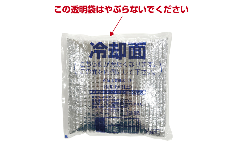 冷却ベスト　保冷剤　アイスパック