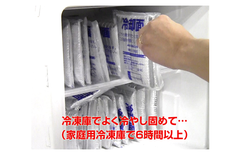 冷却ベスト　保冷剤　アイスパック