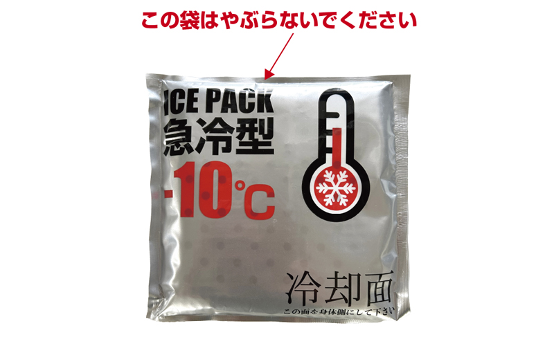 冷却ベスト 保冷剤 アイスパック