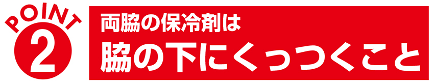 冷却ベスト　アイスハーネス